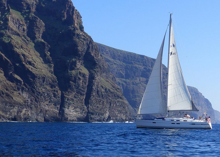 Los Gigantes Whale Watching Charter by Sail Boat